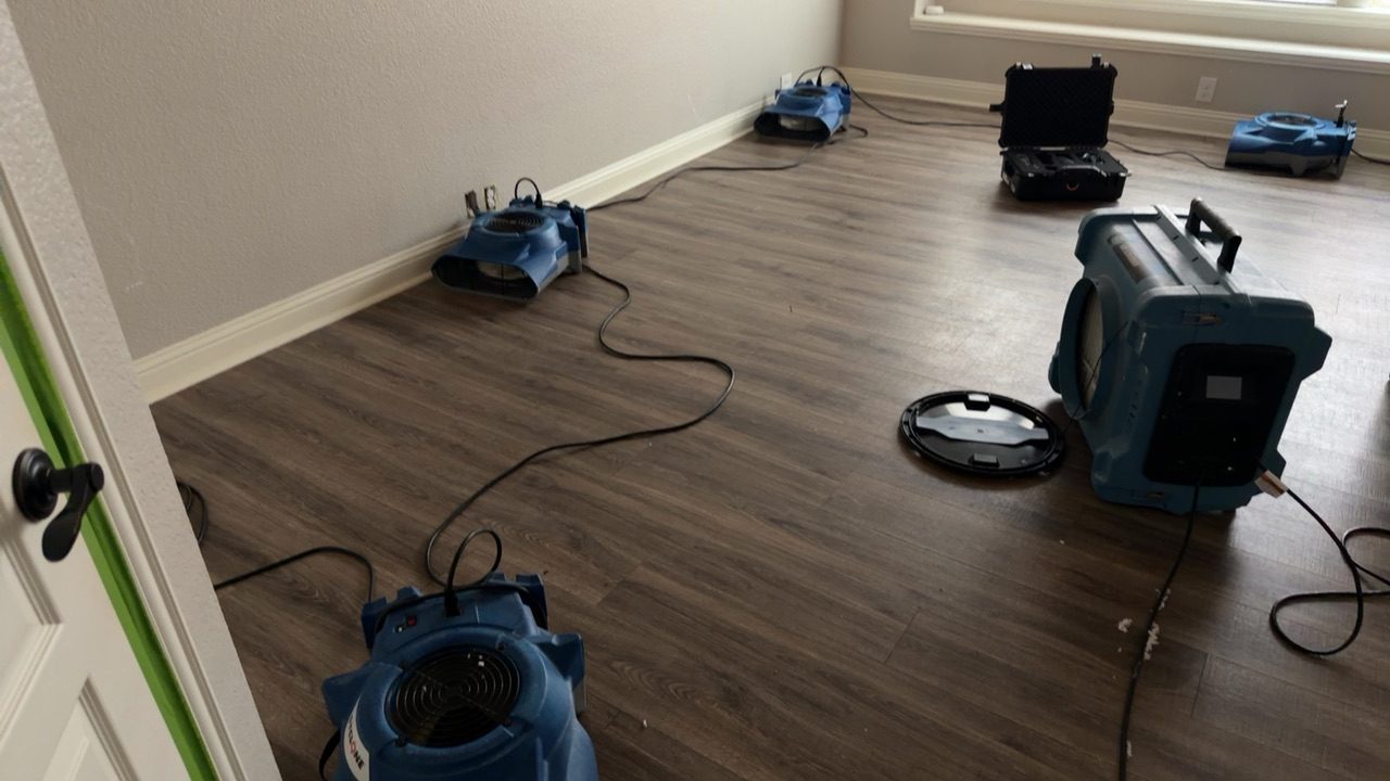 Multiple blue air movers and a low-grain refrigerant dehumidifier set up for structural drying on luxury vinyl plank flooring