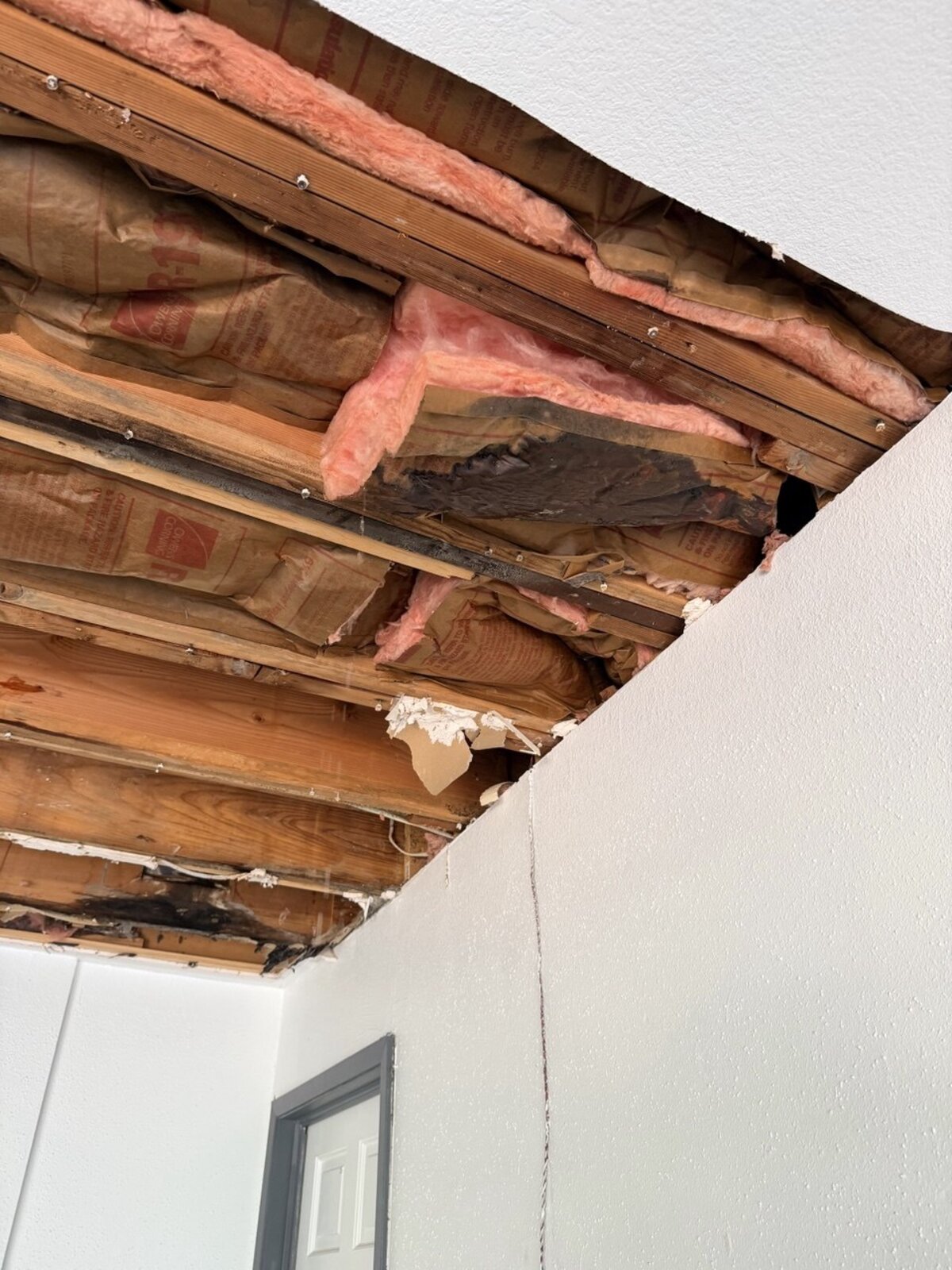 Exposed ceiling joists with saturated pink fiberglass batts after controlled demolition revealed hidden water damage