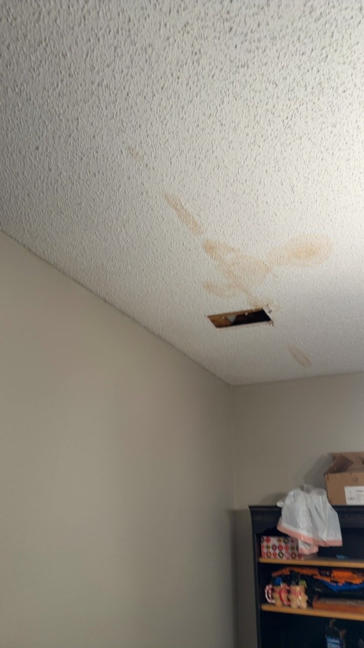Brown water stain on a downstairs ceiling next to a small inspection cut, the first visible sign of an upstairs leak.