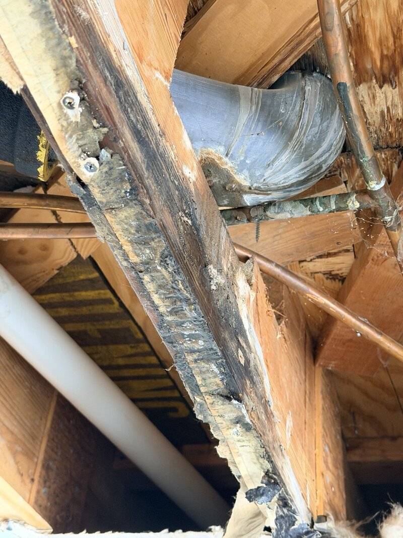 Wall cavity tear-out exposing copper supply lines and rotted blackened framing during a Flood Titan structural water damage assessment
